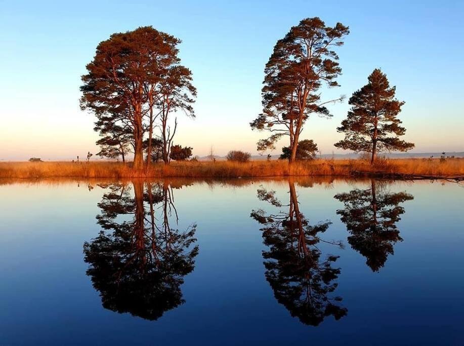Sfeervol Chalet In Drenthe Bij Het Dwingelderveld Villa Spier ภายนอก รูปภาพ
