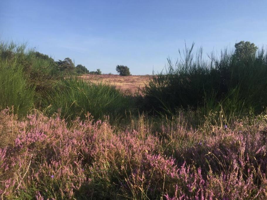 Sfeervol Chalet In Drenthe Bij Het Dwingelderveld Villa Spier ภายนอก รูปภาพ