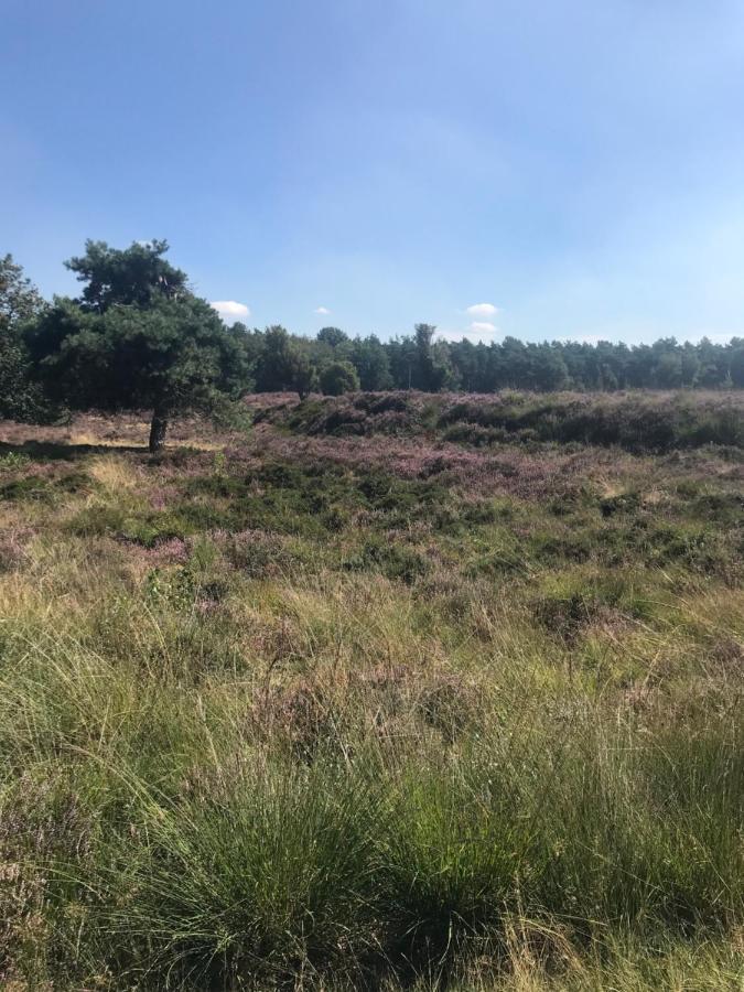 Sfeervol Chalet In Drenthe Bij Het Dwingelderveld Villa Spier ภายนอก รูปภาพ