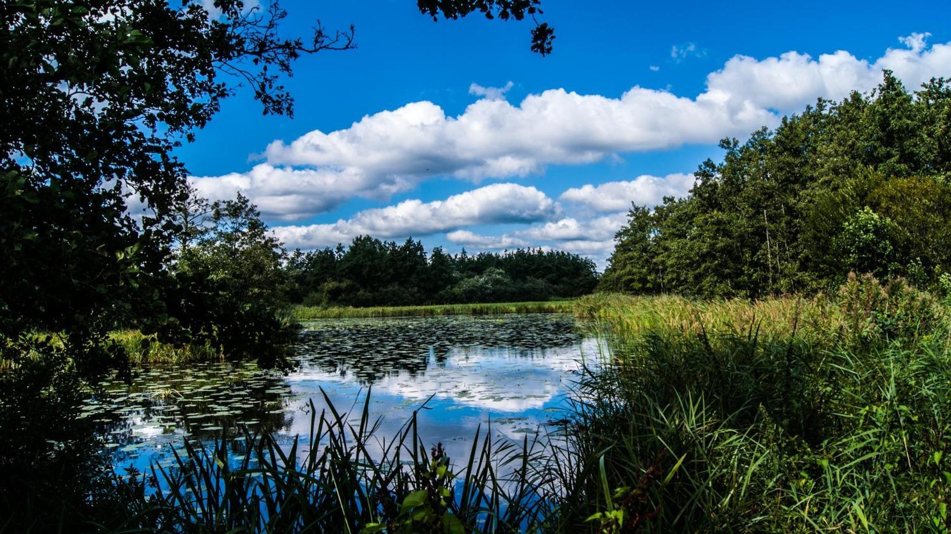 Sfeervol Chalet In Drenthe Bij Het Dwingelderveld Villa Spier ภายนอก รูปภาพ